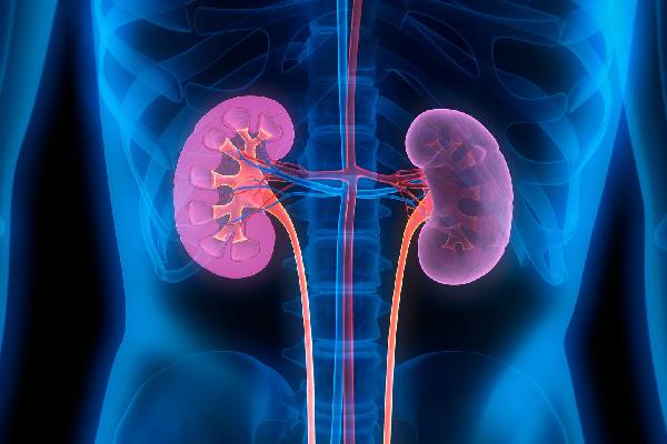Problemas nos rins