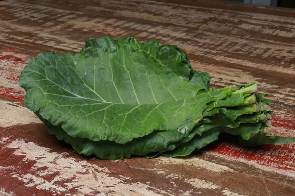 Veja como a couve é benéfica para a saúde!